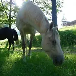 In Mit Terrasse- Grill By Interhome