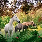 Prázdninový dům In Mit Terrasse- Grill By Interhome Walscheid