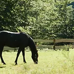 Prázdninový dům In Mit Terrasse- Grill By Interhome Walscheid