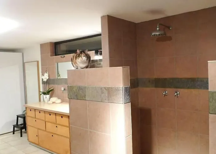 Дом отдыха In Mit Terrasse- Grill By Interhome Walscheid