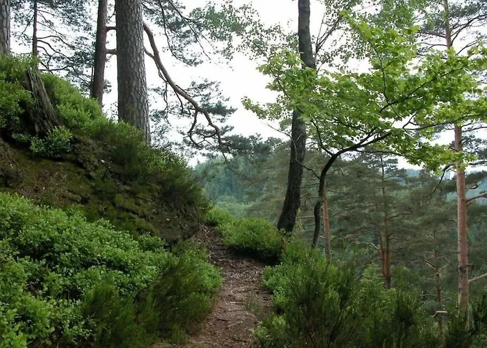 In Mit Terrasse- Grill By Interhome Walscheid