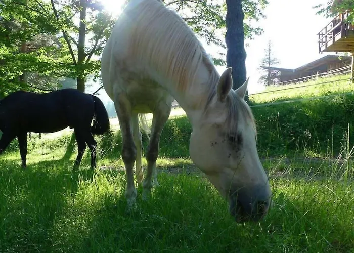 In Mit Terrasse- Grill By Interhome