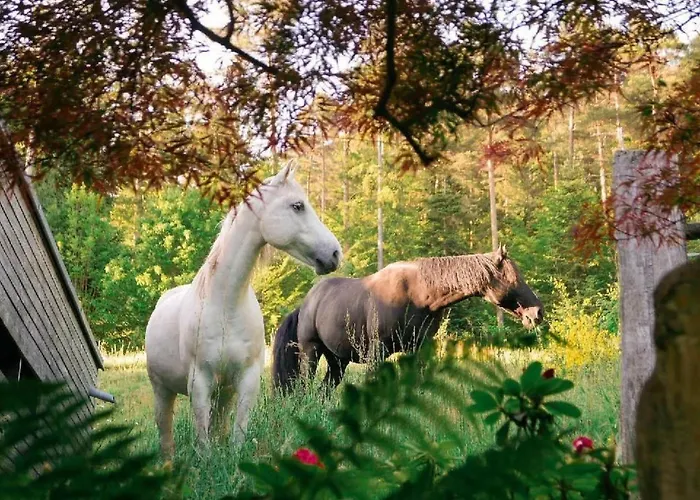 Дом отдыха In Mit Terrasse- Grill By Interhome Walscheid