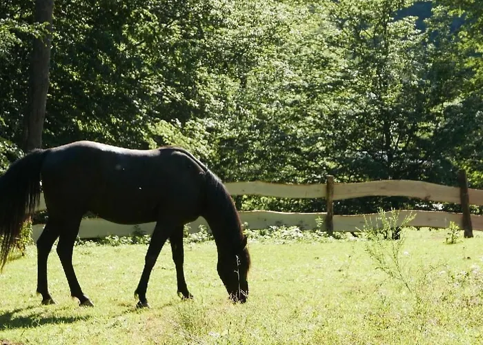 Дом отдыха In Mit Terrasse- Grill By Interhome Walscheid
